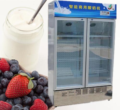 雙門上風酸奶機